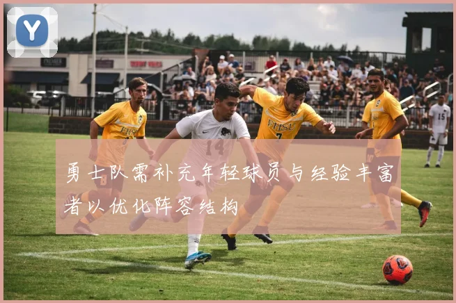 勇士队需补充年轻球员与经验丰富者以优化阵容结构